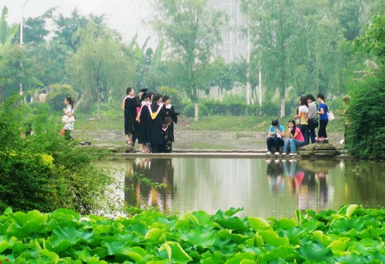 2019年重庆师范大学有哪些专业及什么专业好