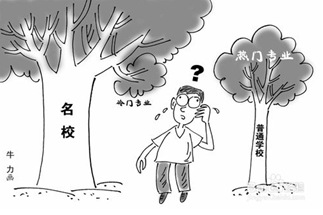 高考怎样填报志愿