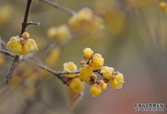 重庆市医药科技学校有哪些专业及什么专业好