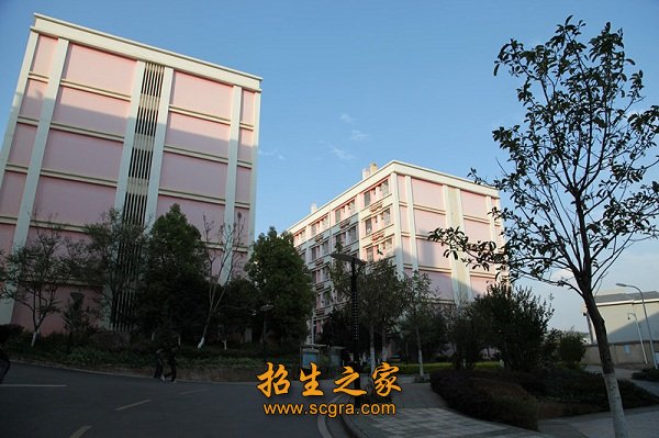 学校环境