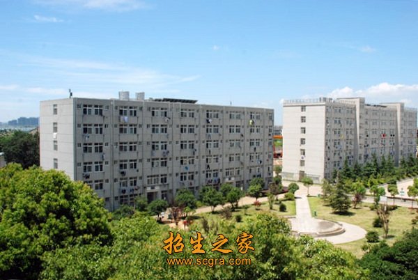 学校环境